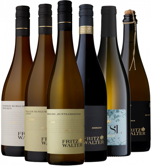 Kennenlern-Paket trocken - Weingut Fritz Walter