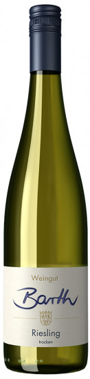 2022 Riesling trocken - Weingut Stephan Barth