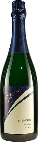 2016 Riesling Kiedricher Sandgrub trocken - Weingut Jonas