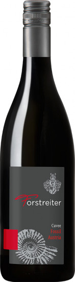 2019 Fossil trocken - Weingut Forstreiter