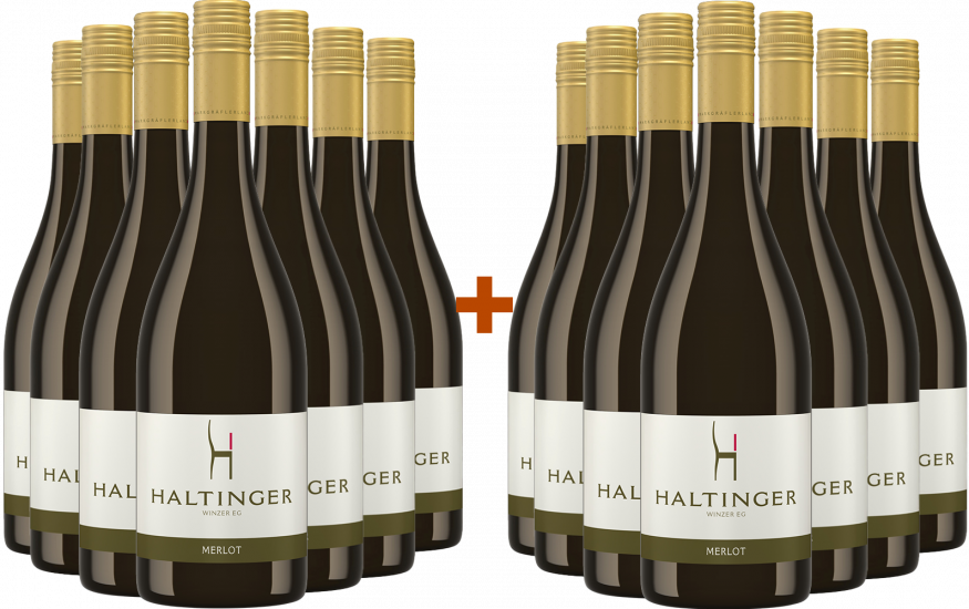 7+7 Paket Merlot trocken - Haltinger Winzer eG