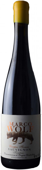 2024 Sauvignon Campus Florum Trentino DOC trocken - Marco Wolf