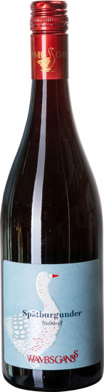 2023 Spätburgunder trocken - Weingut Eugen Wambsganß