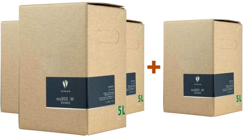 3+1 Paket 2021 Rivaner Bag-in-Box (BiB) trocken 5,0 L - Schild & Sohn - Schild & Sohn
