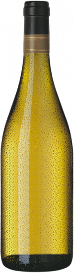 2017 Rings Ungsteiner Nussriegel Riesling Trocken - Weingut Rings