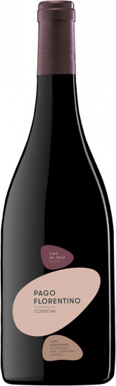 2021 Pago Florentino VP trocken Bio - Bodegas Arzuaga Navarro