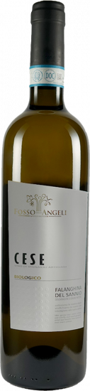 2021 CESE Falanghina del Sannio DOC Bio - Cantina Fosso degli Angeli