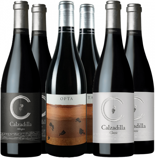 Kennenlernpaket Pago Calzadilla VP Bio - Pago Calzadilla