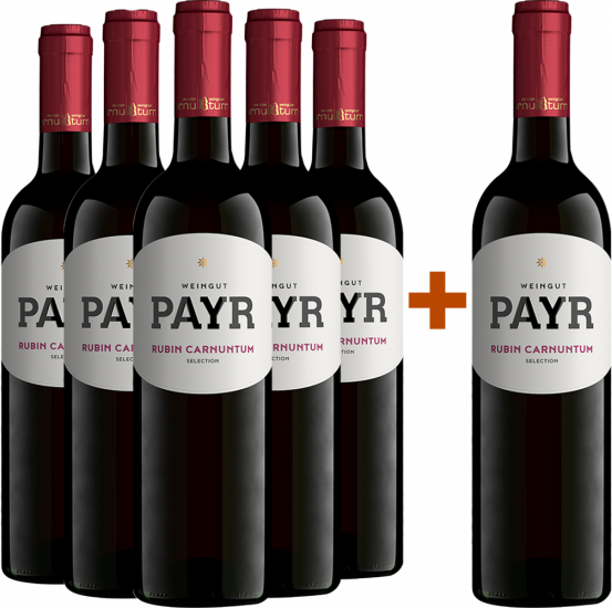 5+1 2023 Zweigelt Rubin Carnuntum DAC ÖTW Gebietswein BIO Bio - Bio Weingut Robert Payr