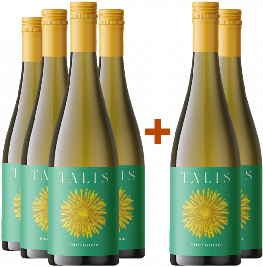 4+2 Talis Pinot Grigio Friuli DOC - Talis Wine