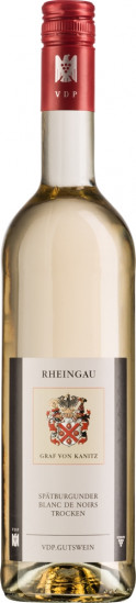2016 Graf von Kanitz Spätburgunder Blanc de Noirs BIO trocken - Weingut Graf von Kanitz