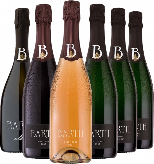 Großes VDP Sekt-Probierpaket BIO Bio - Wein- und Sektgut Barth