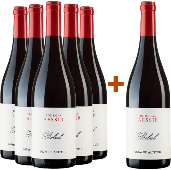 5+1 Aktionspaket Bobal Tinto Bio - Bodegas Aessir Bobal