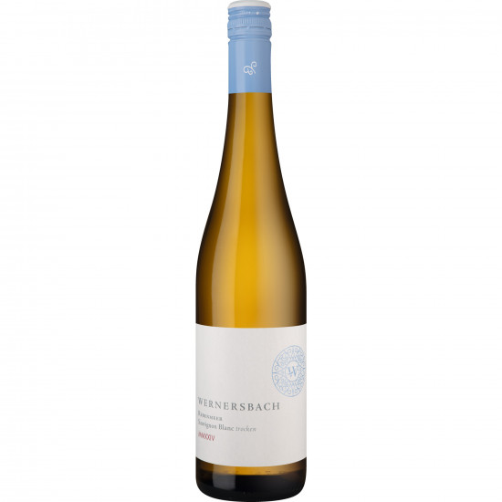 2024 Rebenmeer Sauvignon Blanc trocken - Weingut Wernersbach