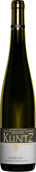 2024 [VENUSBUCKEL] Weisser Burgunder trocken - Weingut Kuntz
