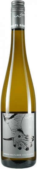 2025 Grüner Veltliner Ried Schlossberg trocken - Weingut Michael Bauer