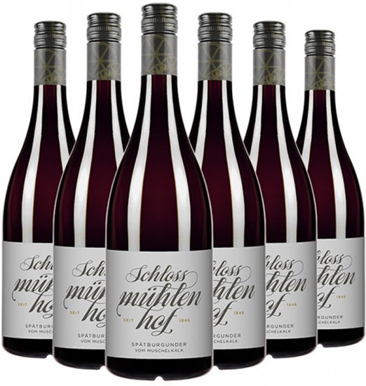 Spätburgunder 5+1 Paket - Weingut Schlossmühlenhof