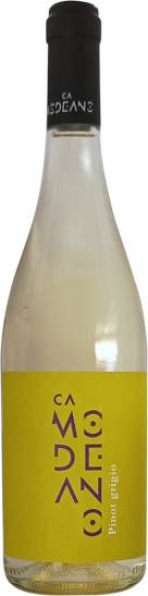 2024 Pinot Grigio Friuli DOC trocken - Modeano