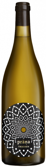 2023 Riesling trocken - Weingut Prana