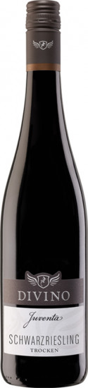 2022 Juventa Schwarzriesling trocken - Divino eG