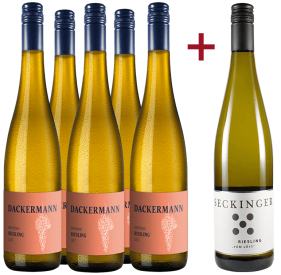 Jungwinzer Riesling Paket - Weingut Dackermann / Gut Seckinger