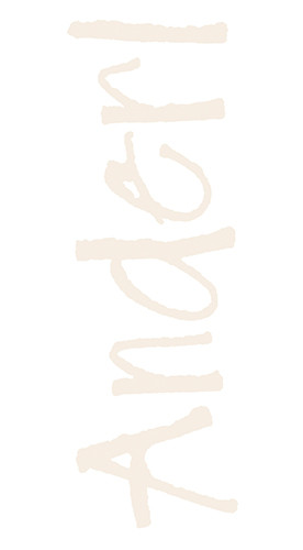 2024 Roter Veltliner trocken Bio - Weinhof Anderl