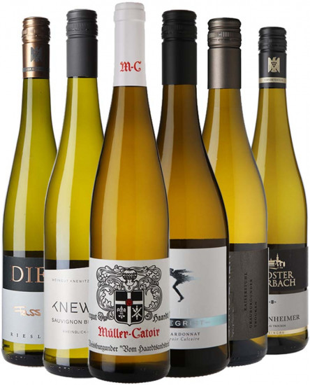 Weißwein Premium-Paket