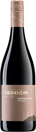 2024 HANG Spätburgunder trocken - Winzergenossenschaft Herxheim am Berg