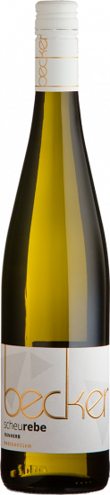 2023 Scheurebe feinherb - Weingut Becker