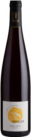 2024 Pinot Noir Alsace AOP trocken Bio - Domaine Sohler Les Vigneronnes