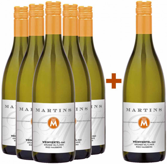 5+1 Weinviertel DAC Ried Hausberg trocken - Weingut Martinshof