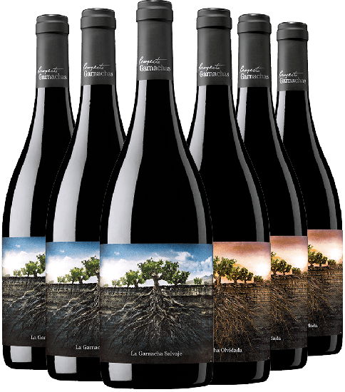  - Proyecto Garnachas