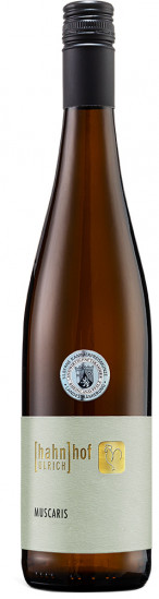 2024 Muscaris trocken - Weingut Hahnhof