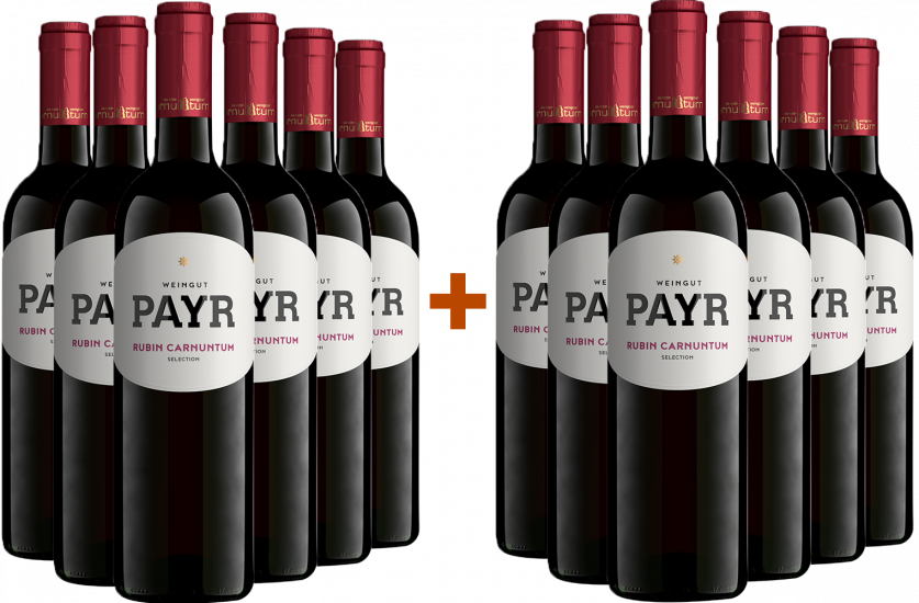 6+6 Paket Zweigelt Rubin Carnuntum DAC ÖTW Gebietswein Bio Bio - Bio Weingut Robert Payr