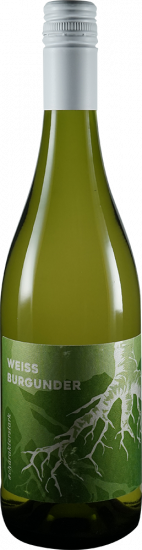 2024 Weißburgunder trocken - Weingut Andreas Renz