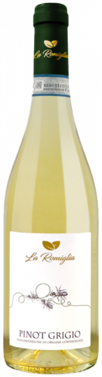 2023 Pinot grigio Venezia DOC trocken - La Romiglia