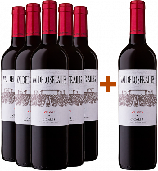 Aktionspaket 5+1 Valdelosfrailes Crianza 2021 Cigales DO - Bodega Valdelosfrailes
