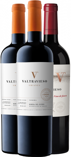 Kennenlernpaket Valtravieso Ribera del Duero DO - Valtravieso Bodegas y Viñedos