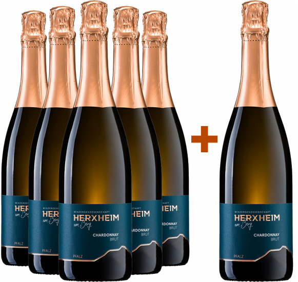 5+1 Paket 2023 Chardonnay Sekt brut - Winzergenossenschaft Herxheim am Berg