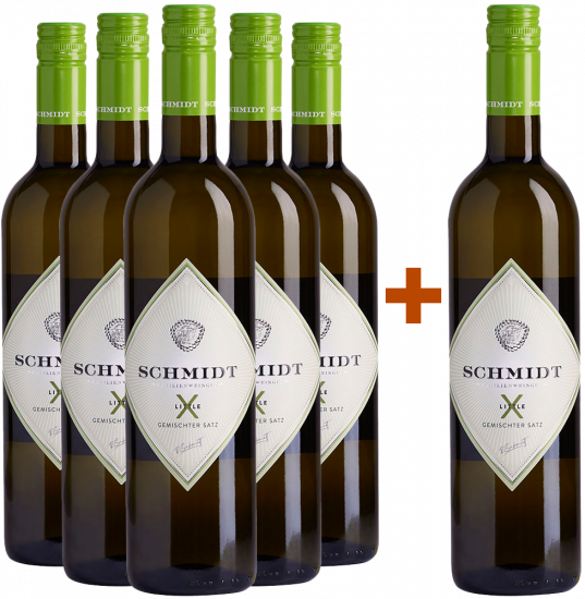 5+1 Little X - Weingut Roman Schmidt