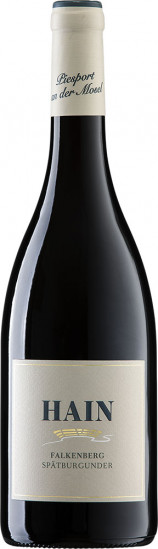 2022 Falkenberg Spätburgunder trocken - Weingut Hain