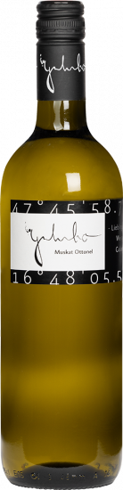 2024 Muskat Ottonel trocken - Weingut Galumbo