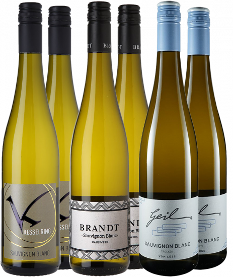 Sauvignon Blanc Winterreise 