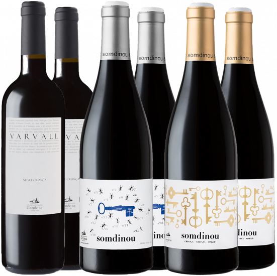 Cooperativa de Gandesa Rotwein Kennenlern-Paket Bio - Cooperativa de Gandesa