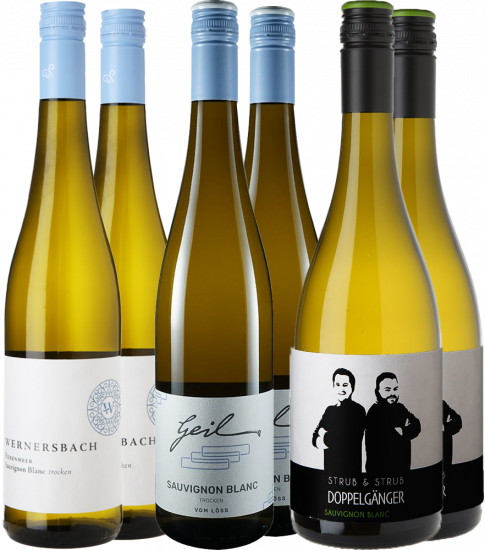 Sauvignon Blanc Entdecker-Paket 
