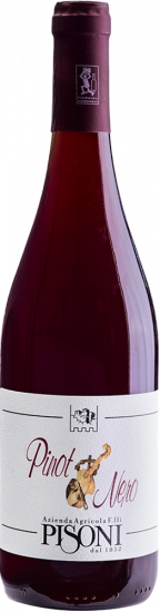 2022 Pinot Nero Vigneti delle Dolomiti IGP trocken Bio - Pisoni Azienda Agricola