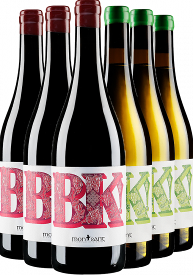 Kennenlernpaket BK! Montsant DO Bio - Atavus Priorat