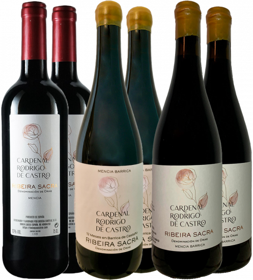 Kennenlernpaket Cardenal Rodrigo De Castro Ribeira Sacra DO - Bodega Soutelo