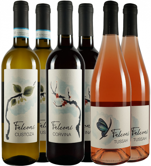 Falconi Liviana Venetien Kennenlern-Paket - Azienda Agricola Falconi Liviana