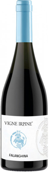 2024 Falanghina Irpinia DOC trocken - Vigne Irpine